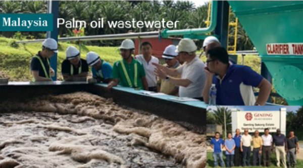 Malaysia palm oil wastewater flat membrane treatment system